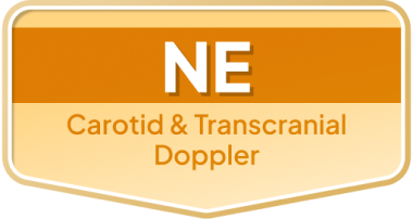 NE — Carotid & Transcranial Doppler